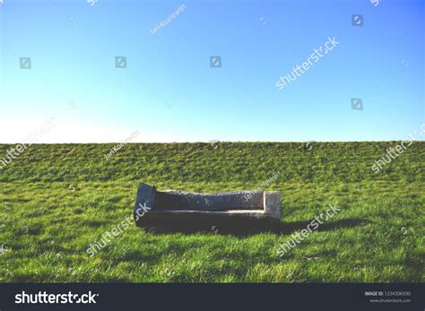 Image result for Tree Log Bench