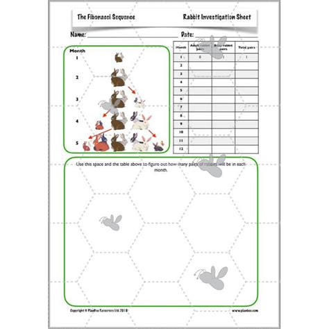 Image result for Fibonacci Sequence Lesson Plan
