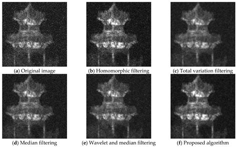 Image result for Homomorphic Filtering