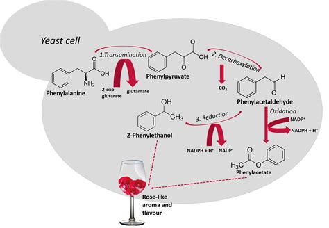 Aroma Compound に対する画像結果