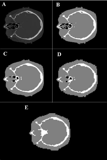 Image result for Image Processing Sample
