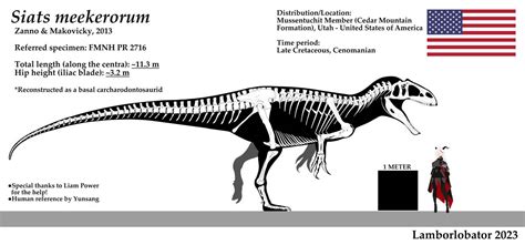 Image result for Siats