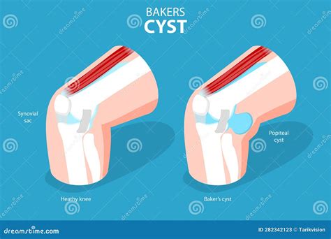 تصویر کا نتیجہ برائے Bakers Algorithm Vector P