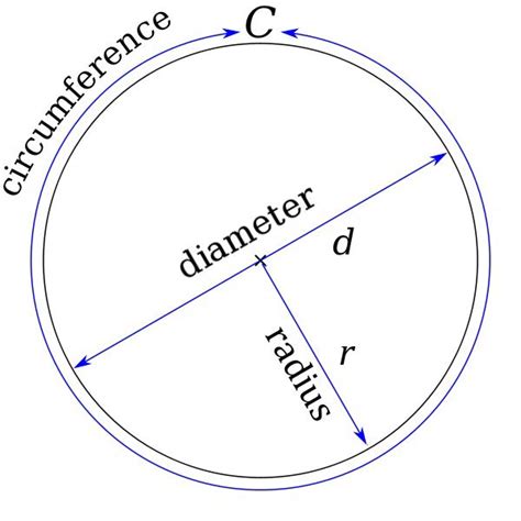Image result for Radius Buis