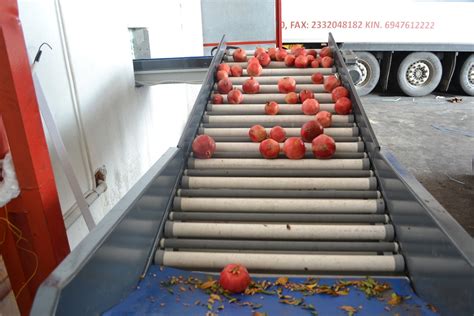 Image result for Sorting Pomegranate Machine