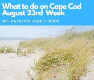 Image result for Things to Do in Cape Cod in August