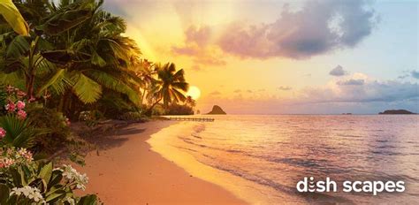 Image result for DishTV Scapes