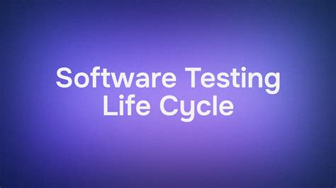 Testing Development Life Cycle に対する画像結果