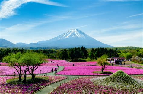 Afbeeldingsresultaten voor Japon Spring