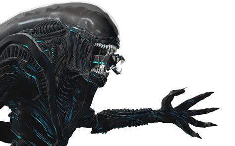 Xenomorph Texture に対する画像結果