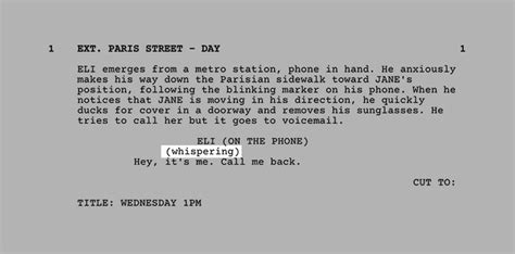 Image result for Script Format Parenthetical