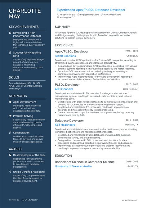 Database Developer CV Template に対する画像結果