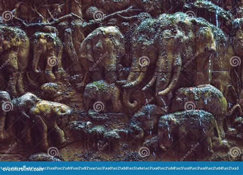 Afbeeldingsresultaten voor Elephant Moss