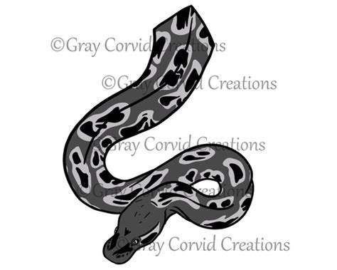 Ball Python Vectorized માટે ઇમેજ પરિણામ