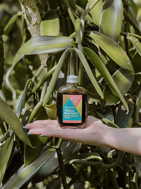 Image result for Vanilla Minecraft Bookshelf Interior Design