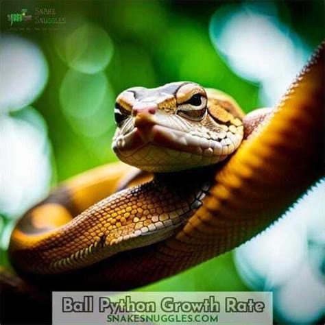 Image result for Grow Cut Python