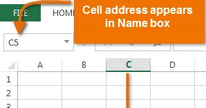 How to Add Spiders in Excel に対する画像結果