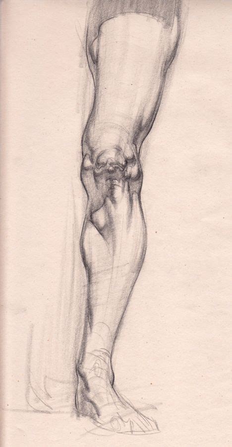 Afbeeldingsresultaten voor Body Contour Drawing