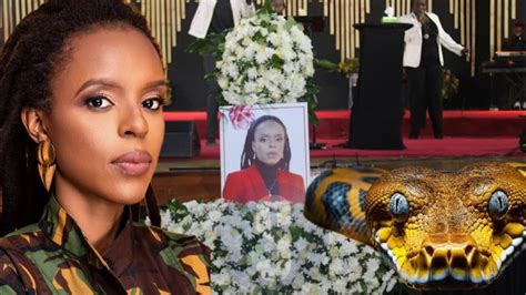 Image result for Python at a Graveyard