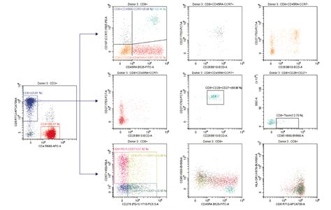 Image result for Flow Cytometry Panel