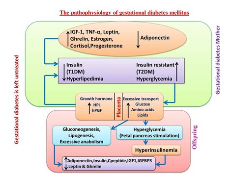 Image result for Gestational Diabetes Chart with Type 2