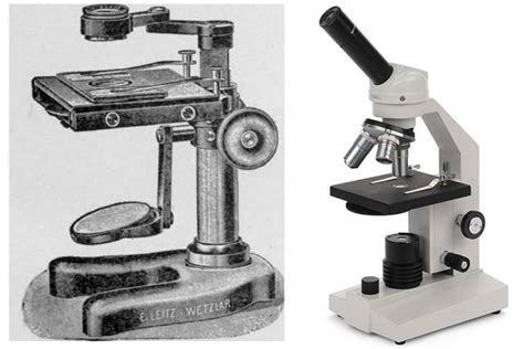 Image result for Simple Compound Microscope