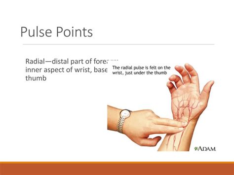 Image result for Pulse Detonation Engine Nozzle