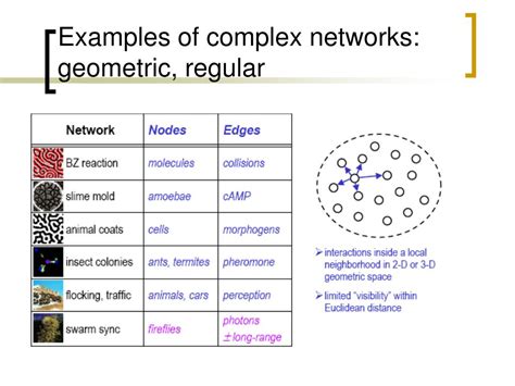 Image result for Complex Network Features