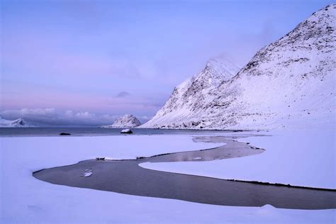 Image result for Live Window View