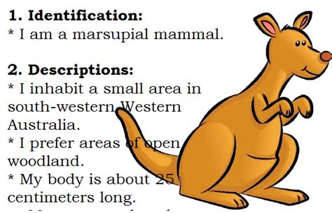 Image result for Descriptive Text Animals