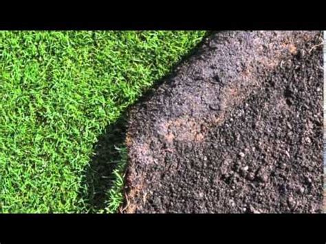 Image result for Golf Turf Types