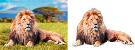 Afbeeldingsresultaten voor Langdetect Python Icon