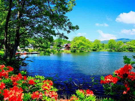 Image result for Nature View Photo