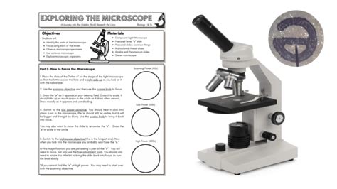 Image result for High Power Field Microscope