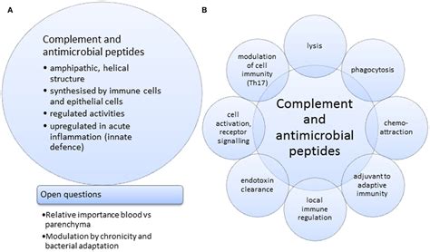 Image result for Antimicrobial Substance the Complement System