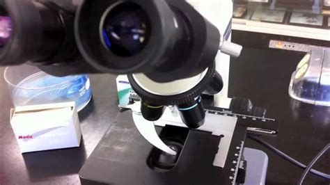 Image result for How to Clean Microscope Lense Inside