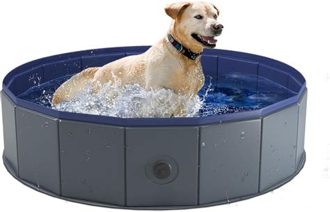 Image result for Plastic Dog Swimming Pool