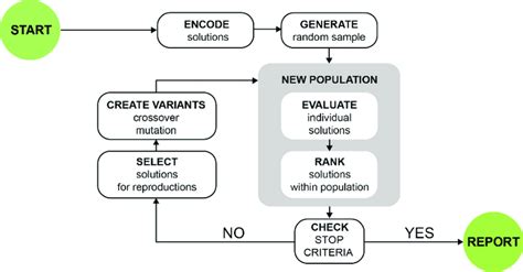 Image result for Different Evolution Optimization Flowchart