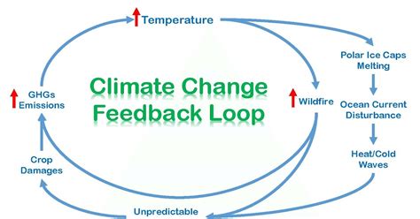 Image result for Negative Feedback Loop Climate Change