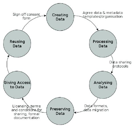 Image result for Data Processing Life Cycle
