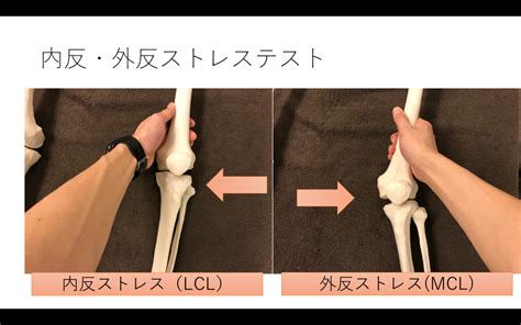PT Test に対する画像結果