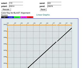 Image result for Messy Alignment Graph