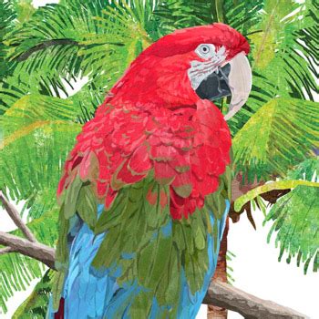 Bildergebnis für Ruby Macaw Art