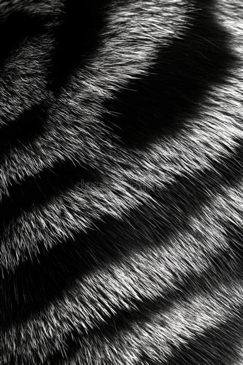 Image result for Gradient Pattern Fur