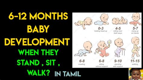 Image result for Biological Development 6 Months