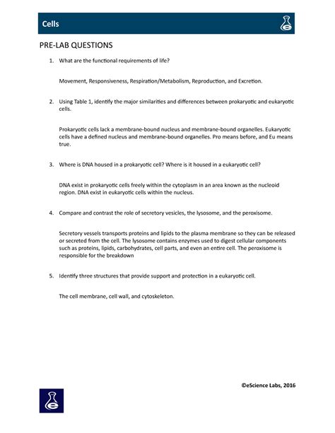 Image result for Cell Copy Lab