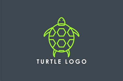 Image result for Logo Turtle Graphics
