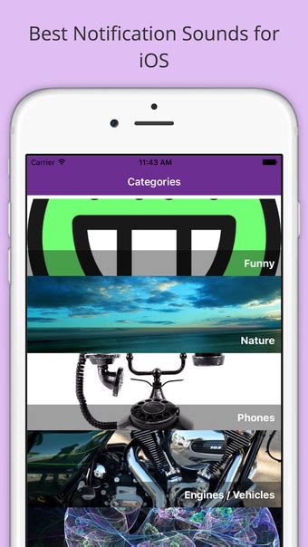 Image result for Ring Notification Sound