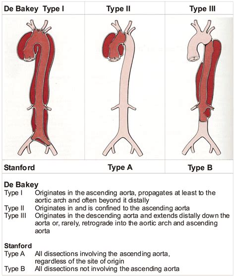 Medical Dissection に対する画像結果