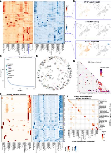 Single Cell Transcriptomics Workflow Plants に対する画像結果